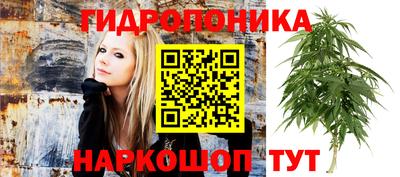СК Будённовск
