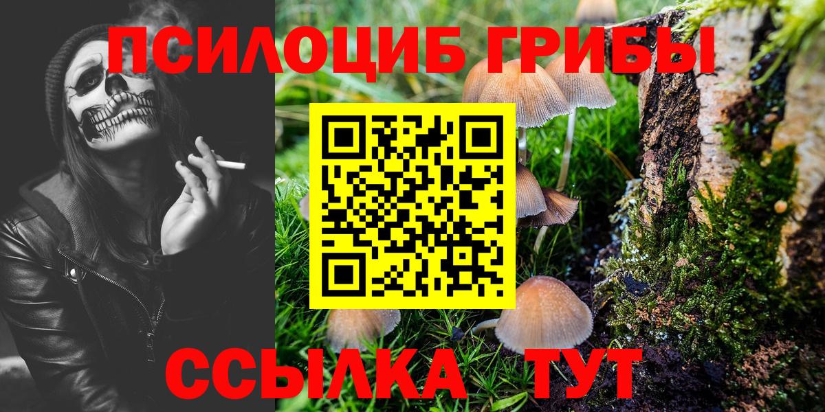 как найти   Вход с VPN  Галлюциногенные грибы ЛСД  Кудрово  Галлюциногенные грибы Cubensis 