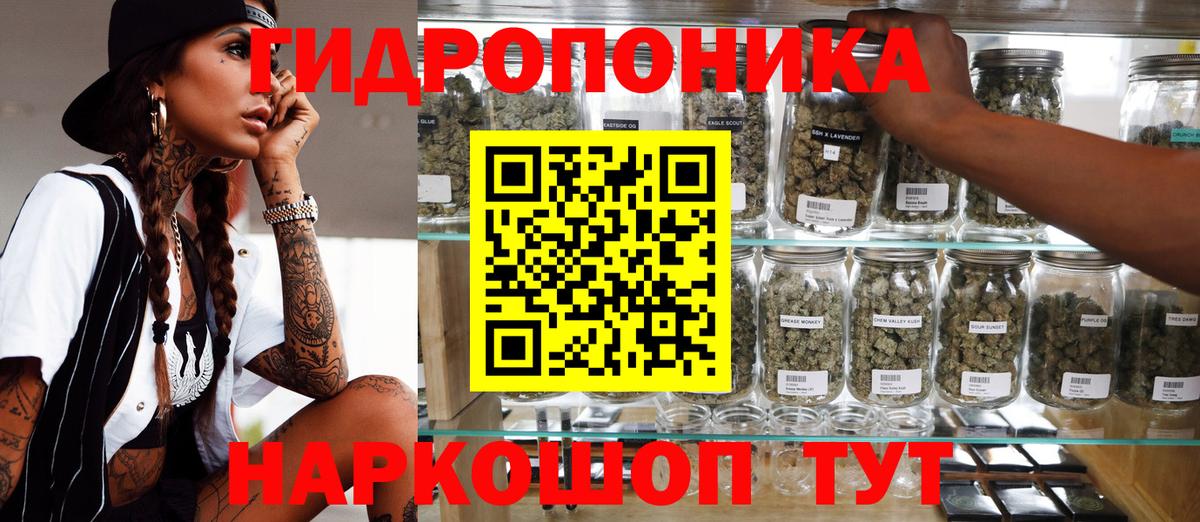 Кудрово  Канабис Ganja  Марихуана ГИДРОПОН  Конопля план  Вход с VPN 